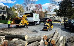 Why Choose Our Tree Removal Services in Eagle Lake, WI?