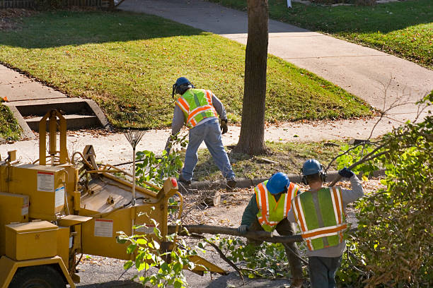 Leaf Removal in Eagle Lake, WI